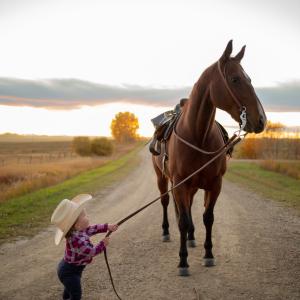 Little Rider Little Rider
