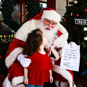 Dear Santa Dear Santa