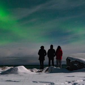 aurora borealis aurora borealis