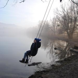 tree swing tree swing
