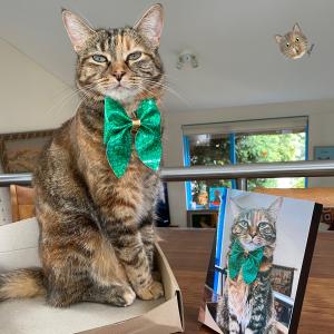 Minette’s Photo Block Minette’s Photo Block