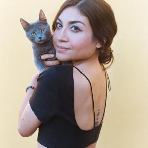 Hello Miau Hello Miau