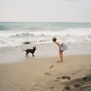 Perro Perro
