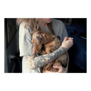 Puppy cuddles Puppy cuddles