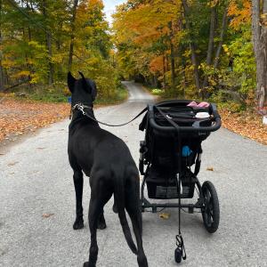 Fall Feels Fall Feels