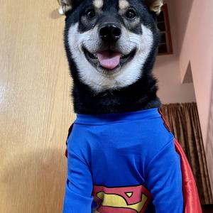 Super Saturday! Super Saturday!