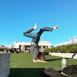 Pincha Mayurasana Pincha Mayurasana