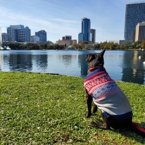 Sweater Weather Sweater Weather
