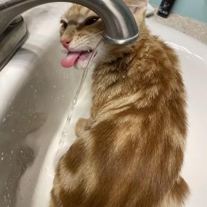 Edgrrrr getting a drink Edgrrrr getting a drink