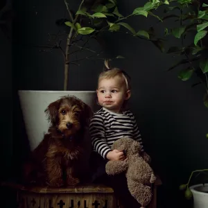 Dog-gone it! They’re cute! Dog-gone it! They’re cute!