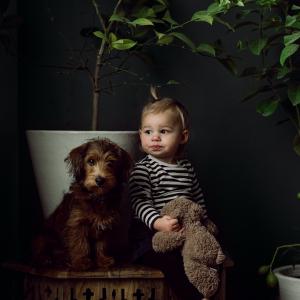 Dog-gone it! They’re cute! Dog-gone it! They’re cute!