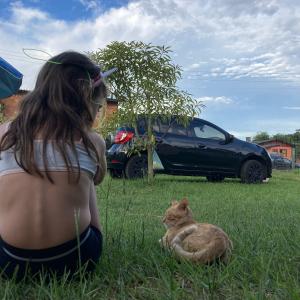 Bolinho, do you want to be my friend again? Bolinho, do you want to be my friend again?