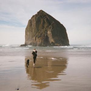 Haystack Haystack