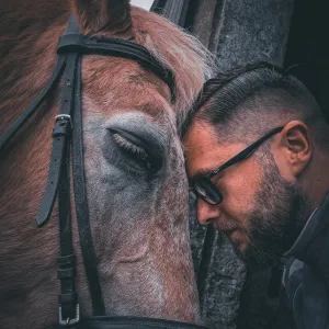 Relaxen mit dem Pferd Relaxen mit dem Pferd