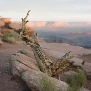 Weathered and Wise Weathered and Wise