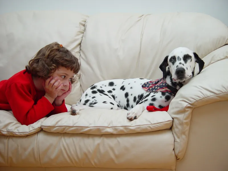 A Moment of Rest A Moment of Rest