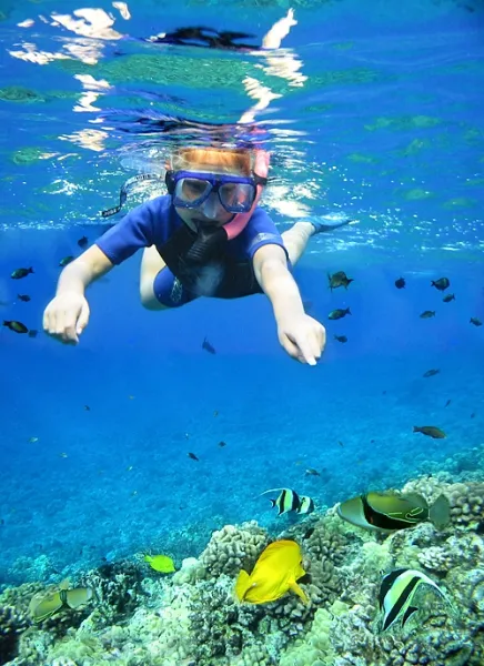 Under the Sea Under the Sea