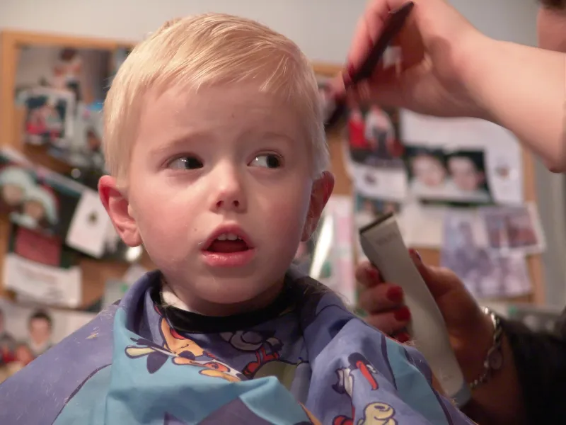 The Haircut The Haircut