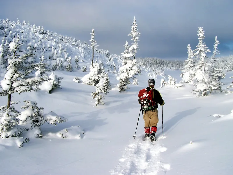 Solitude Solitude