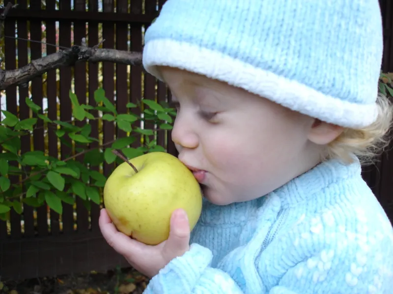 Oh, I Love Apples! Oh, I Love Apples!