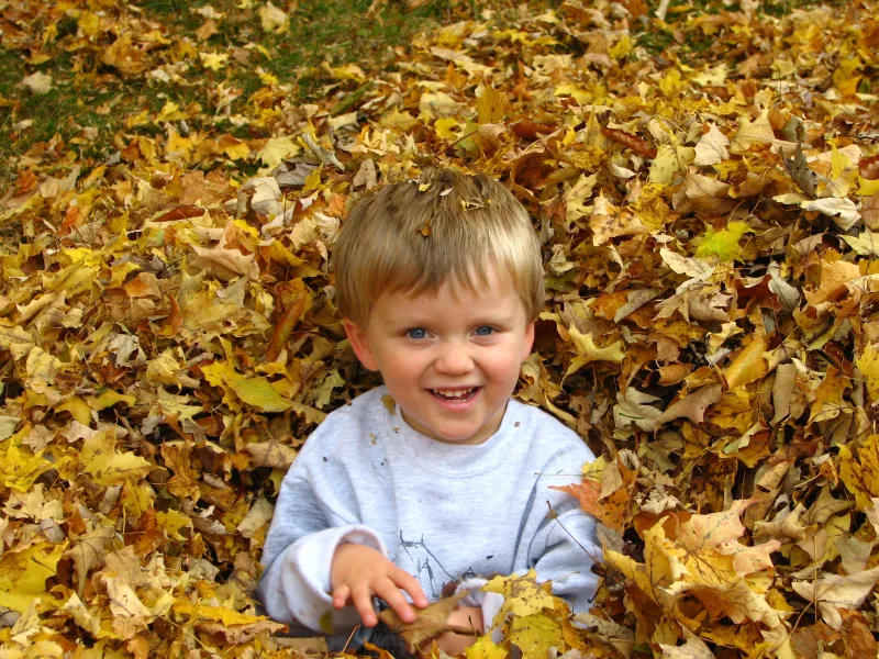 Fun in the Foliage! Fun in the Foliage!