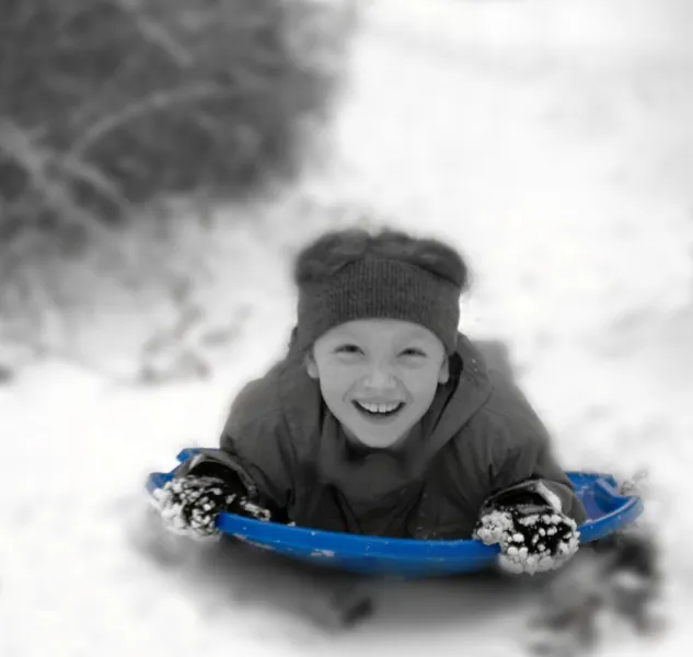 Blue Sled Blue Sled