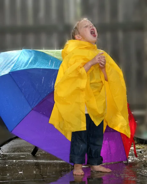 Umbrella...What Umbrella? Umbrella...What Umbrella?