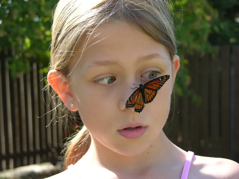 Dad, there's a butterfly Dad, there's a butterfly