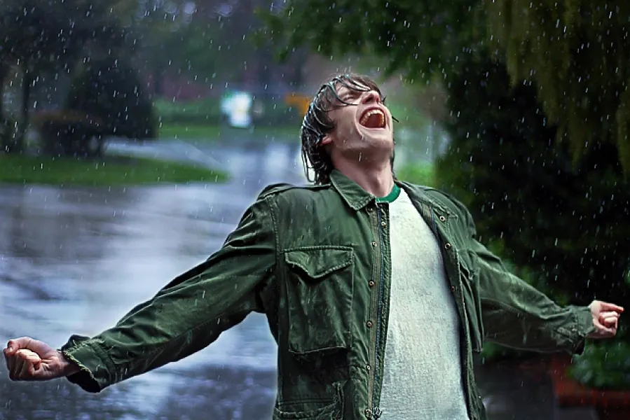 A Fresh New Rain A Fresh New Rain