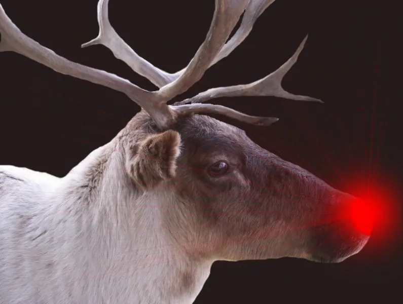Rudolph Rudolph