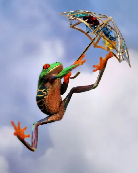 Froggy Poppins Froggy Poppins