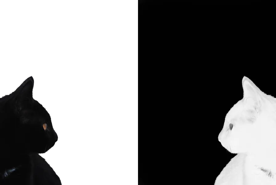 Opposites Opposites