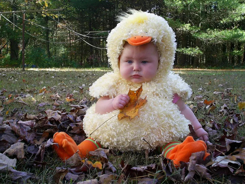 Just Ducky! Just Ducky!
