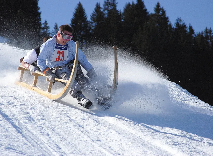 Horned Sled Race Horned Sled Race
