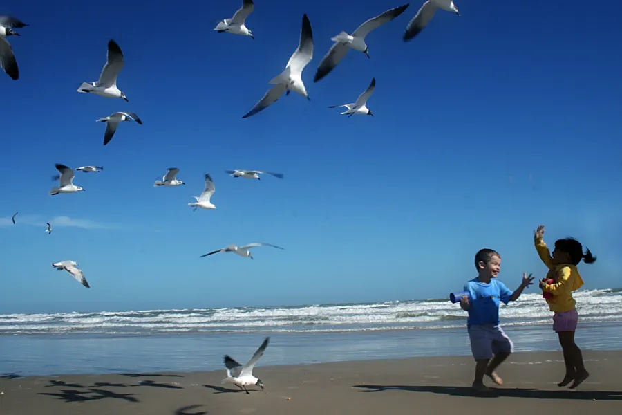 Favorite Place on Earth Favorite Place on Earth