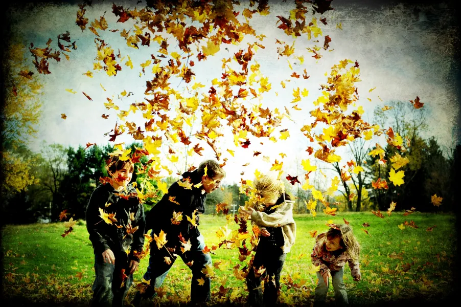 Fall Fun Fall Fun