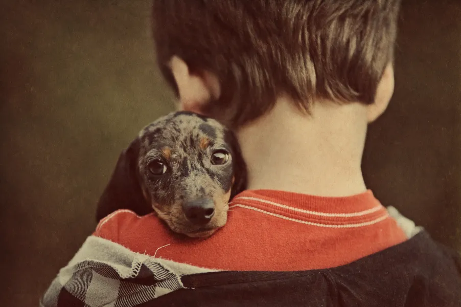 Best friends Best friends