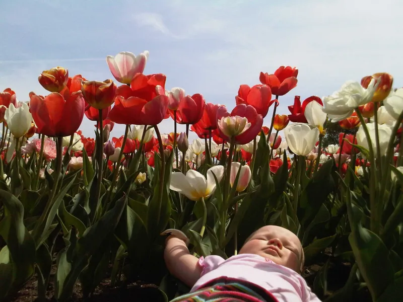 So Exhausting So Exhausting