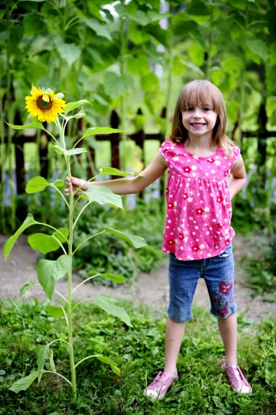 Sunflower Kid Sunflower Kid