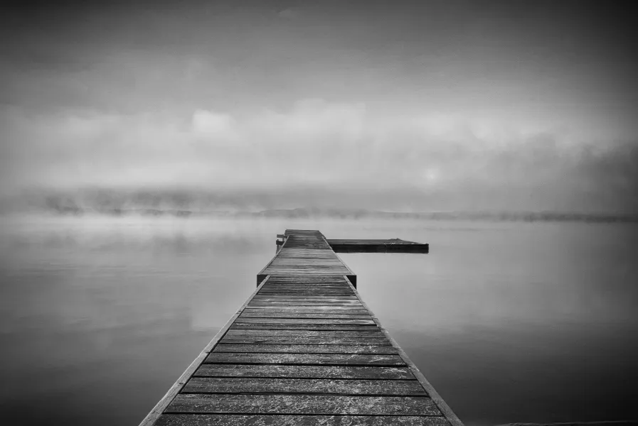 The Lake The Lake