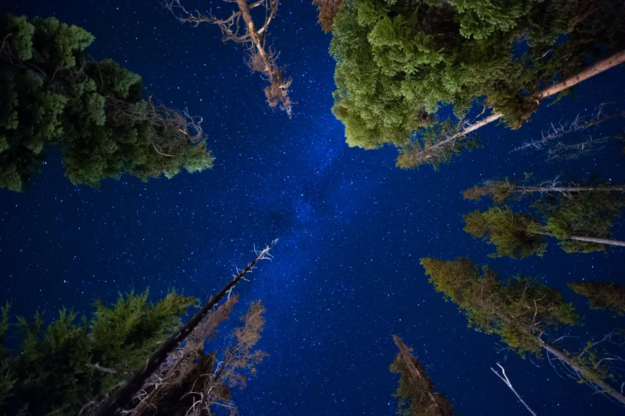 Don't Forget To Look Up Don't Forget To Look Up