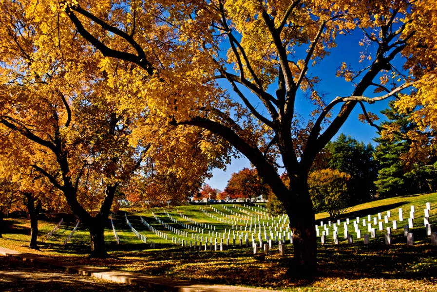 Arlington Cemetery, Veter Arlington Cemetery, Veter