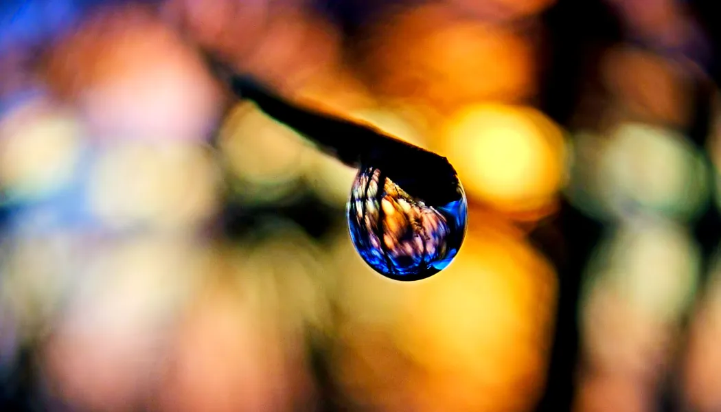 Sunset Drop Sunset Drop