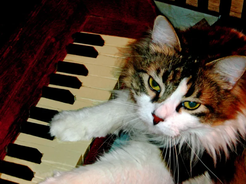 "Play it again, Sam:" "Play it again, Sam:"