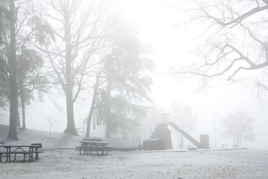 First snow First snow