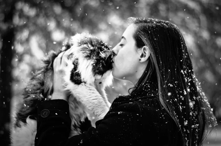 Snow Kiss Snow Kiss