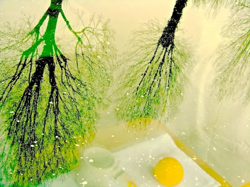 Reflection of Breakfast Reflection of Breakfast