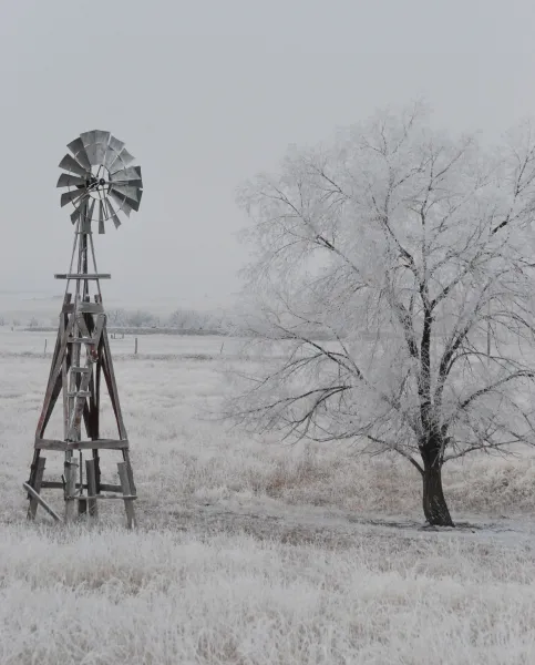 Winter Windill Winter Windill