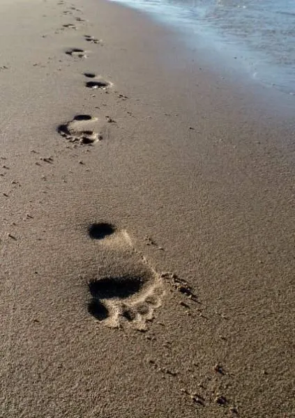 Footsteps Footsteps