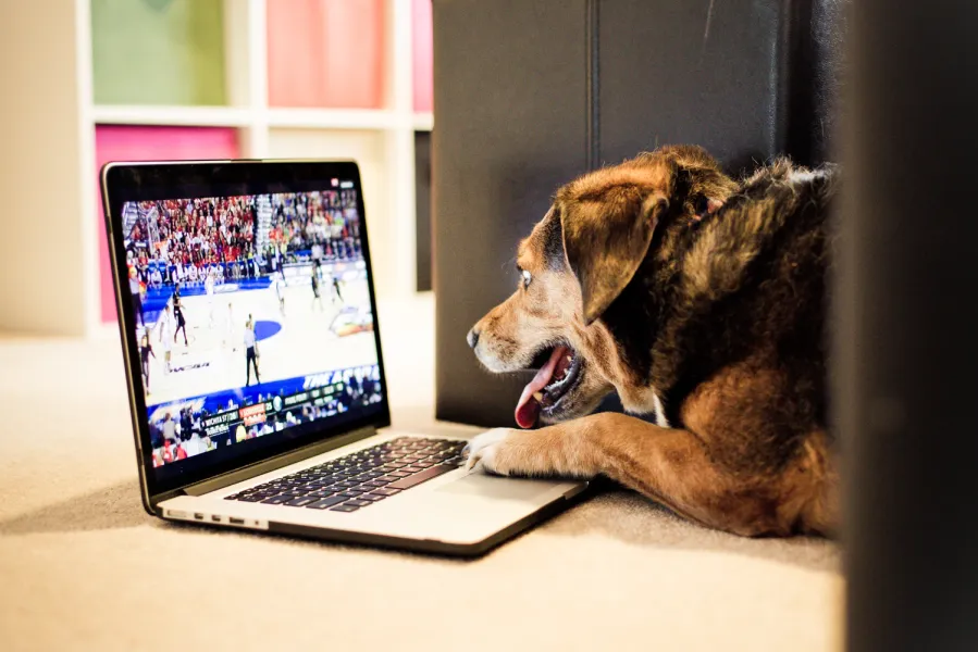March Madness March Madness